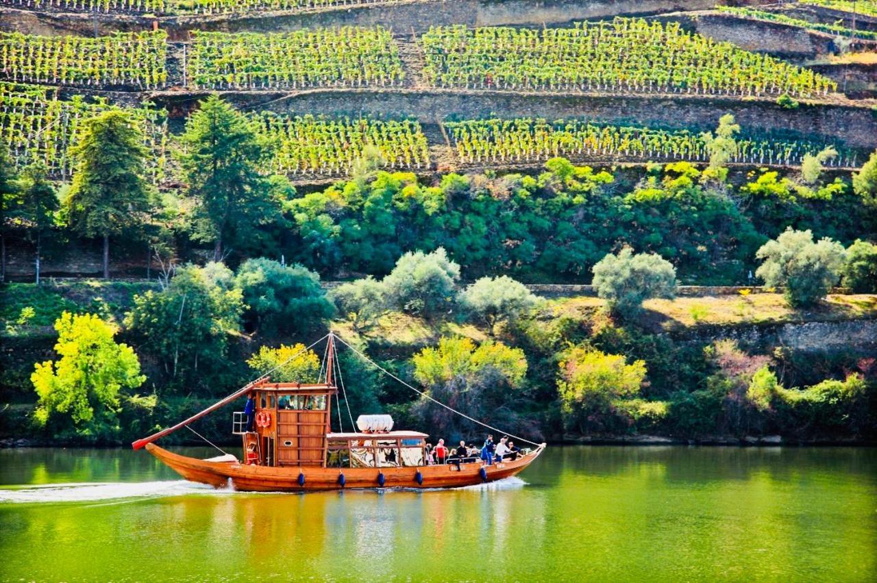 Solar Do Douro Villa Santa Cruz do Douro Ngoại thất bức ảnh